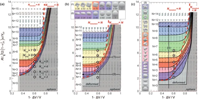 FIG. 4. Shape diagrams established from Surface Evolver simulations (gray points): number of depressions N transient or N as a function of v r , and R/d eq for 3 Poisson’s ratios: ν 2 D = 0 (a), ν 2 D = 0.5 (b), ν 2 D = 0.8 (c)