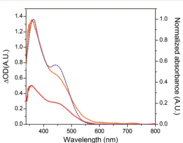 Fig. 7 UV-visible absorption spectra of the NiO ǀ RBG-174 ǀ Co C11P
