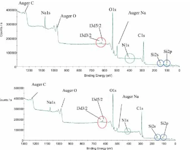 Fig. 5. Survey XPS spectrum of FA and HA from Gohy 573.