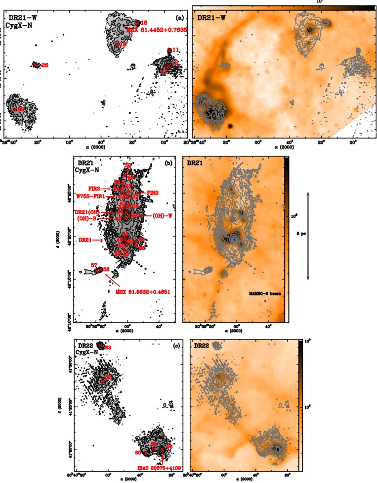 Fig. 3. MAMBO maps of CygX-North (left: gray-scale and contours, right: contours overlaid on 8 µm images obtained by MSX and converted to Jy sr −1 ) extracted from Fig