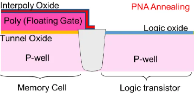 Fig. 1. Process sketch of logic and memory at the PNA step.