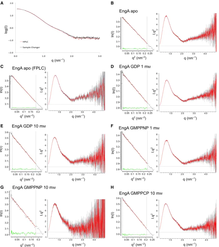 Fig. 1. (A) Comparison of apo EngA scattering curves obtained with the use of either the FPLC (red) or the sample changer (black) setup.