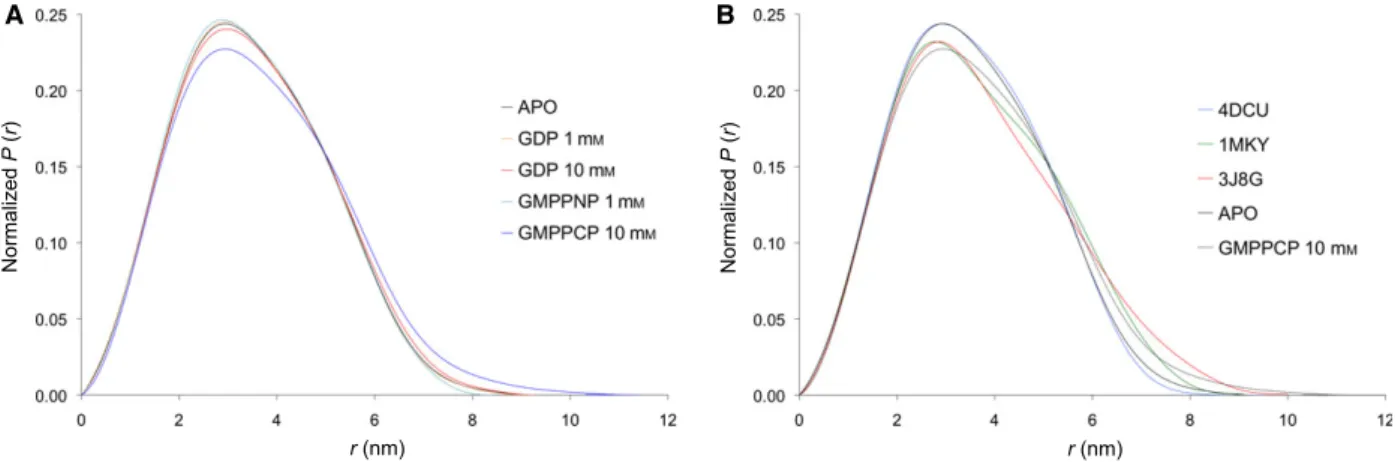 Fig. 2. (A) Interatomic distance distribution functions P(r) of B.s. EngA in the absence or in the presence of different nucleotides and at different concentrations