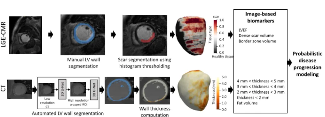 Fig. 1: Data processing pipeline. LGE-CMR images are manually segmented and the LV wall tissue is classified using a threshold-based approach
