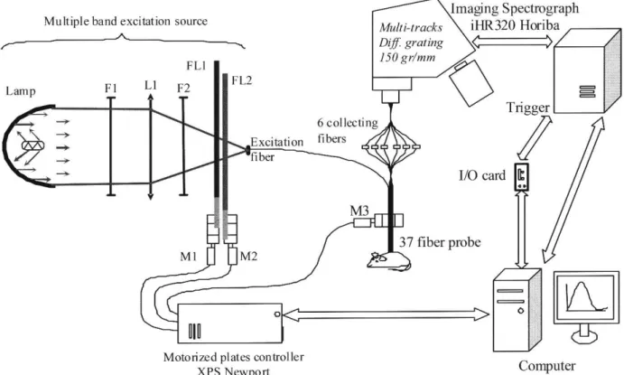 Fig. 1. Scheme of the bimodal spectroscopy device developed. Short arc lamp (300W Xenon), F1: anticaloric filter, L1: convex lens, F2: bandpass filter, FL1 and FL2: high-pass and low-pass linearly variable filters, Fexc: exciting optical fibre, M1, M2 and 