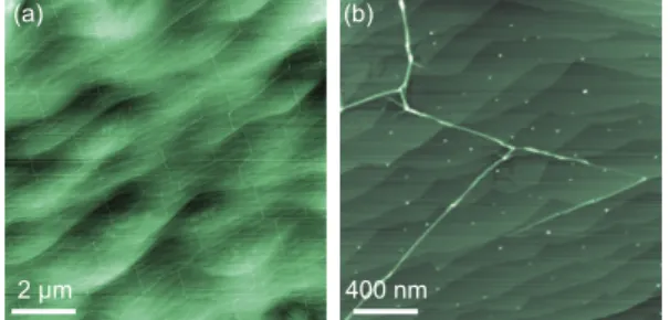 FIG. 1. (Color online) (a,b) Atomic force microscopy im- im-ages measured in atmospheric conditions on an Ir(111) single-crystal covered with graphene grown under  ultra-high vacuum