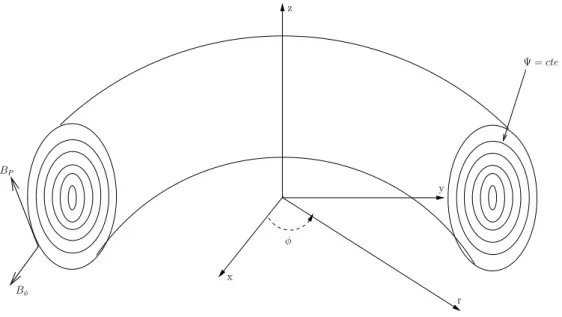 Figure 1: Toroidal geometry.