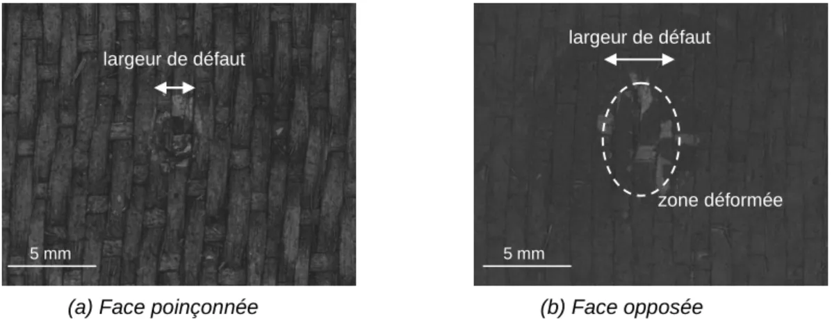 Fig. 6. Photographie d’un défaut généré par poinçonnement (D S  = 18, D P  = 4,5 et E ab  = 0,25 J)