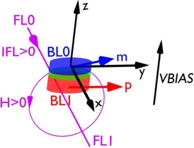 Figure 5. Model conventions for simulation and discussion.