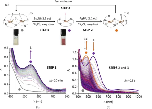 Figure 3. UV-Vis spectral evolution of: (b) a Mn II 2 SS solution (0.5 mM) in CH 2 Cl 2  after the  addition  of  Bu 4 NI  (2.5  eq)  to  afford  Mn III I  (0.5  cm  path  length);  (c)  a Mn III I  solution  (0.5  mM)  in  CH 2 Cl 2   after  the  addition