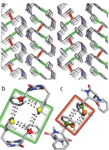 Fig. 7 Possible molecular conformations of cyclo-FF as determined with computational structure optimization