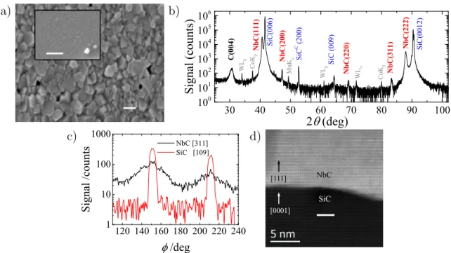 Figure 1. a) Scanning electron microscope image of the niobium layer after thermal annealing at 1360 ◦ C
