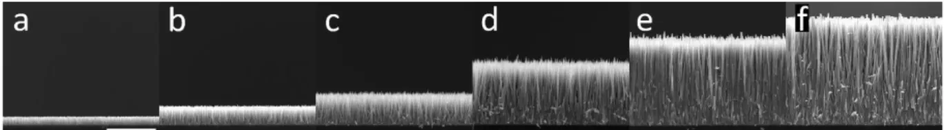 Figure 3. Cross-sectional view FESEM images of ZnO NWs grown by CBD at 90 °C with 30 mM of  Zn(NO 3 ) 2  and HMTA as well as 800 mM of NH 3  for (a) 40 min, (b) 1 h, (c) 1.5 h, (d) 3 h, (e) 5 h and, (f) 8 h, 