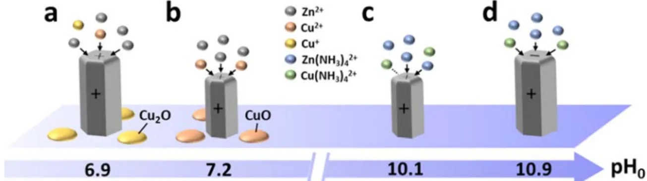 Figure 9. Schematic diagram representing the incorporation mechanisms of Cu in ZnO NWs grown by CBD