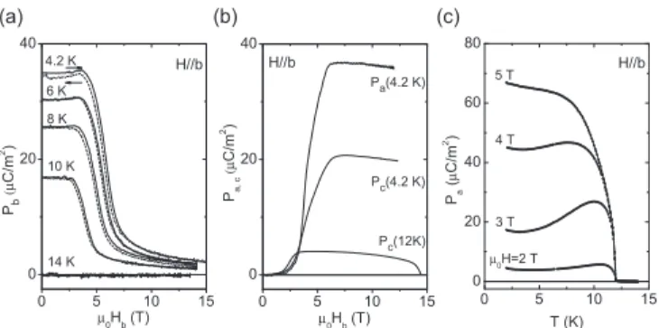 FIG. 5. Field dependence of the components of the electric polarization along the principle crystallographic directions for H || b.