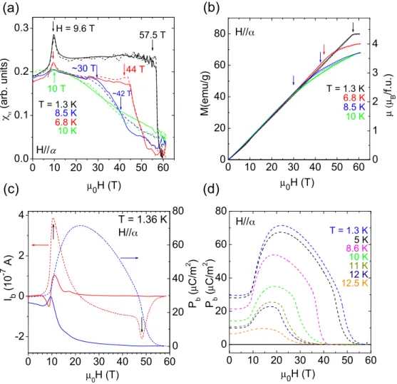 FIG. 7. H || α case. (a) Evolution of the magnetic susceptibility in fields along the easy magnetic axis α, χ α (H )