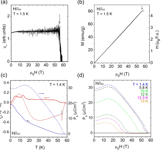 FIG. 8. H || ω case: (a) Evolution of the magnetic susceptibility in fields along the hard magnetic axis ω within the ac plane, χ ω (H )