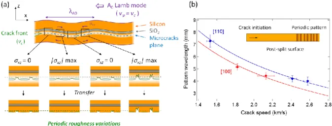 FIG. 4: (a) Interaction between the crack front and the reflected acoustic wave. The A 0  Lamb mode generates  bending that leads to crack path deviations between the microcavities and to periodic roughness variations on the 