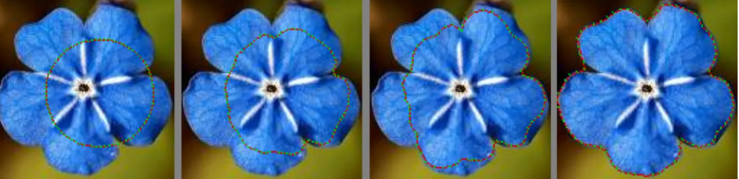 Figure 2: Real image example: gradient descent driven by E d . Only one band of the colour image was used.