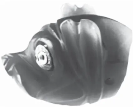 Fig. 11  Kt 95/k 110, tête de cochon  en cornaline de 5,5 × 4,3 × 4 cm  dans ses dimensions les plus  larges