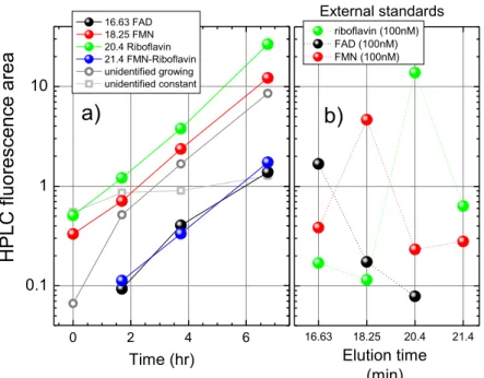 Figure S2: Left panel. The HPLC fluorescence area of all peaks detected in the chromatograms of a  supernatant collected at different times from the beginning of the culture (X axis)