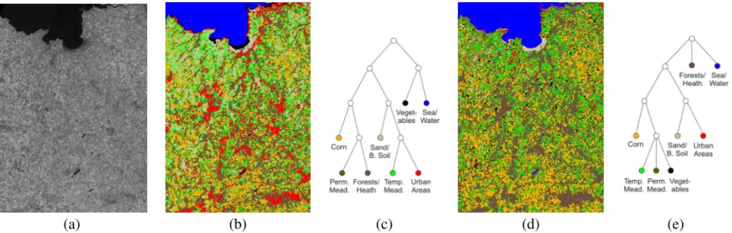 Figure 3: XS3 channel of an image of Lannion Bay, France ( c SPOTImage/CNES) (a), unsupervised segmentation by the original TS-MRF algorithm (b) and the corresponding tree (c), the new version (d) and the corresponding tree (e).