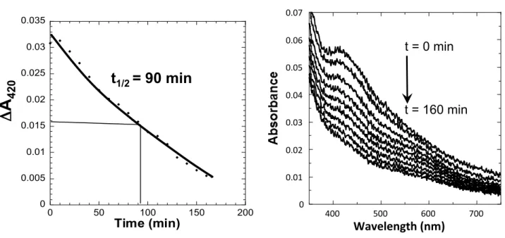 Figure 5. NfuA stabilizes the Fe-S cluster of ErpA. Equimolar amount of apo-NfuA was  added to reconstituted ErpA and the mixture was incubated for one hour inside the glove  box before being injected in a cuvette containing 100 µL of oxygenated Tris buffe