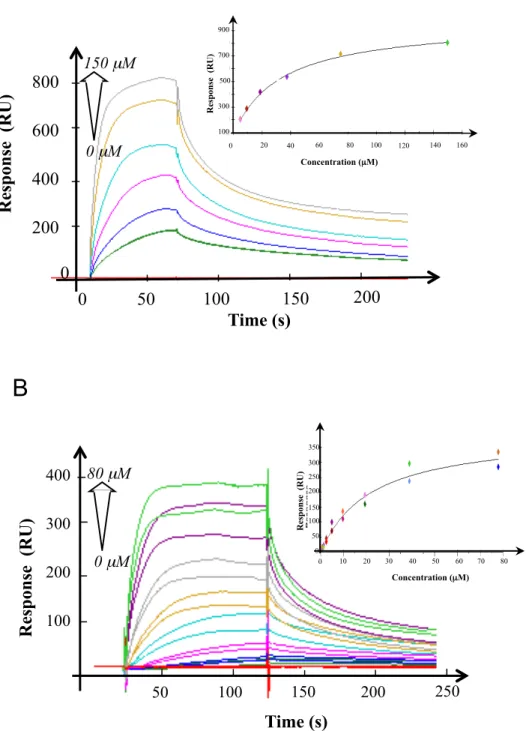 Figure 6. IspG interacts with NfuA and ErpA. Surface plasmon resonance analysis of  IspG to the Fe-S clusters carrier proteins NfuA and ErpA
