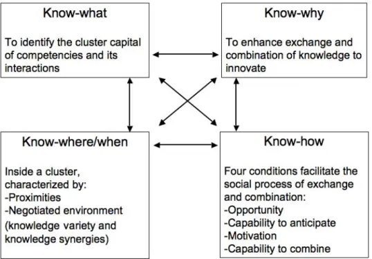 Figure 5: the generic model of knowledge dynamic inside a cluster 
