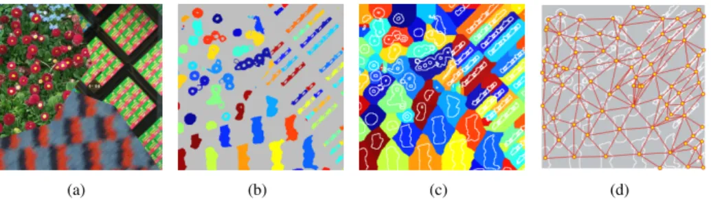 Figure 3: Toy example of the color-wise graph construction. In 3(a) a sample texture mosaic is shown, whose red subset is highlighted in 3(b) where each connected component  (frag-ment) has a different label