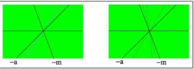 Figure 1: Directional dynamics for injective ACA. Green area depicts expansive directions.