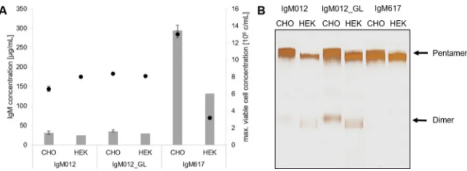 Fig 1. Expression and polymer distribution of IgM antibodies produced in CHO DG44 and HEK293E cells