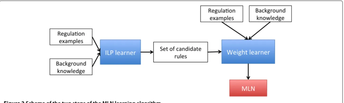 Figure 2 Schema of the two steps of the MLN learning algorithm.