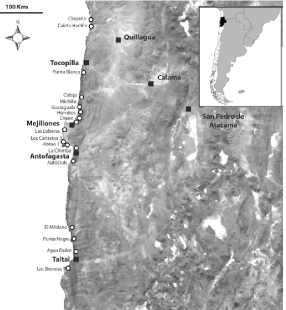 Figura 5. Ubicación de los principales sitios arqueológicos con presencia de arpones para la caza de grandes  presas marinas en el Desierto de Atacama.