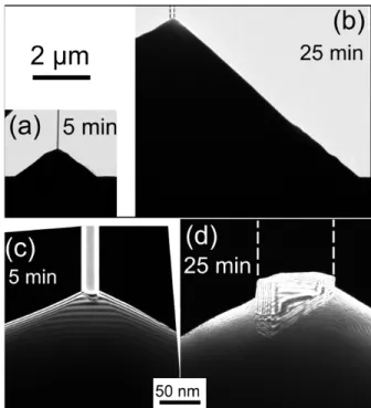 Figure 8. Two-beam TEM images with g = (0002) of Zn-polar nanowires on top of O-polar pyramids, grown on an O-polar ZnO substrate, for (a) (c) 5 min of growth and (b) (d) 25 min of growth