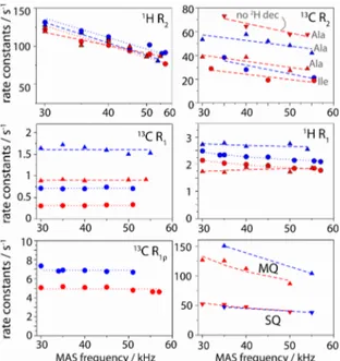 Fig. 2. MAS-frequency dependence of various spin relaxation parameters in Ile-labelled (circles) and Ala-labelled (triangles) TET2, with CH 3   (blue)  and  CHD 2   (red)  isotopomers