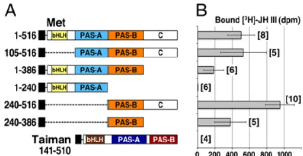Fig. 2. The PAS-B domain of Met is necessary and suf ﬁ cient for JH III binding. (A) Deletion constructs representing the individual domains of Tribolium Met and Taiman proteins tagged with the Myc epitope (black boxes) were translated in vitro (for immuno