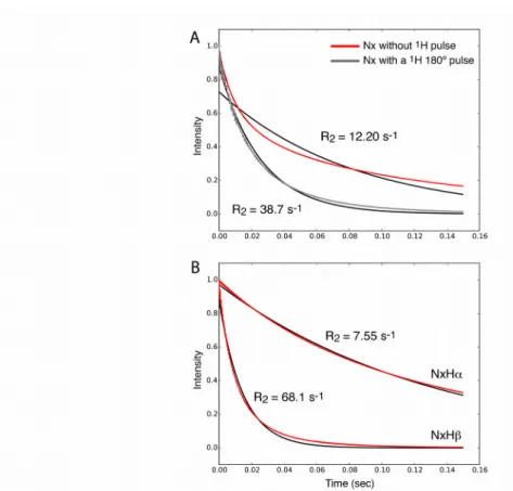 Figure  1:  Simulated  evolution  of 15 N  spin  coherences  under  a  spin-lock  RF  field