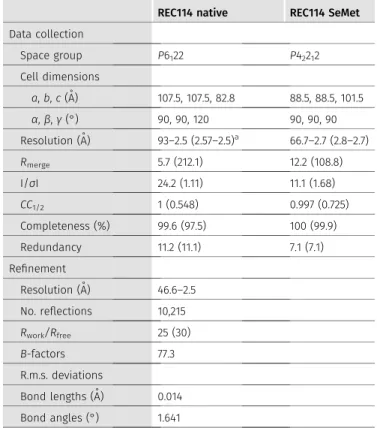 Table 1. Data collection and re ﬁ nement statistics for REC114 (15-159).