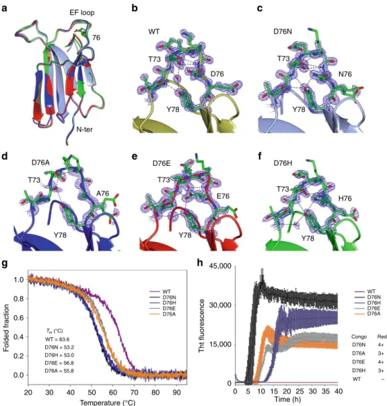 Fig. 1 Structural and biophysical characterization of β 2m mutants at position 76. a Superposition of the structures of wt β 2m (2YXF, gold) and of the D76N (4FXL, light blue), D76A (blue), D76E (red), and D76H (green) variants