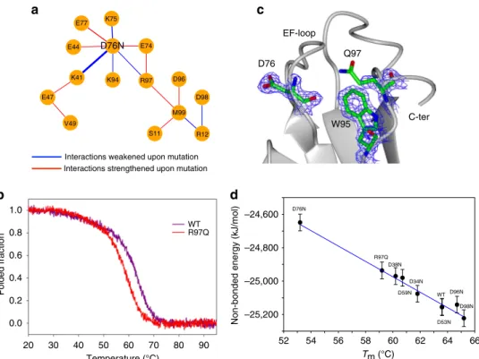 Fig. 5 Perturbation of the energy network upon D76N mutation. a The network shows the interactions between couples of amino acids that are strengthened (red) or weakened (blue) upon mutation as calculated over the two ensembles of structures