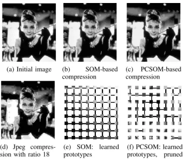 Fig. 13: SOM vs PCSOM for lossy image compression