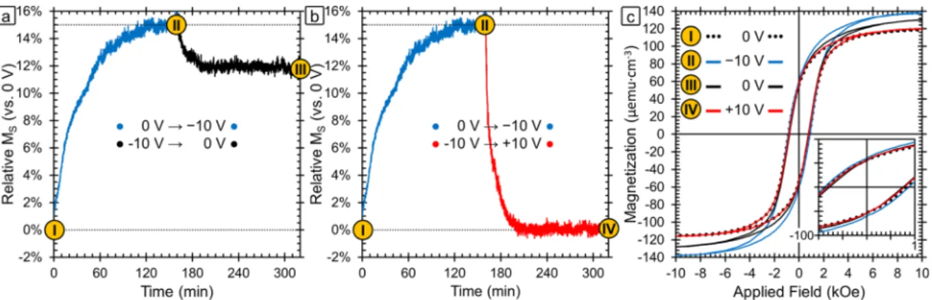 Figure 3 shows top-view SEM images of the film in the initial state (0 V, point I) and after one voltage cycle  which is the application of  − 10 V for 160 min followed by the application of  + 10 V for 160 min (point IV)