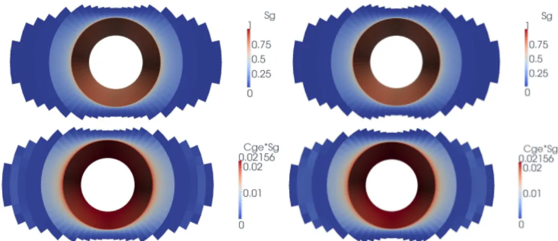 Figure 10: Transversal cut of S g and of S g c g e at final time obtained on the mesh n = 60 for the PPF formulation (left) and the PSF formulation (right).