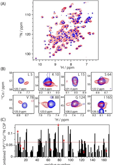 Figure 2. ssNMR characterization of the interaction between Ldt Bs  and B. subtilis peptidoglycan