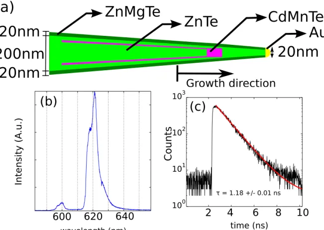 Figure 1. (a) Nanowires morphology: an Au droplet serves as a catalyst to grow a CdTe quantum dot inserted in a ZnTe conical nanowire