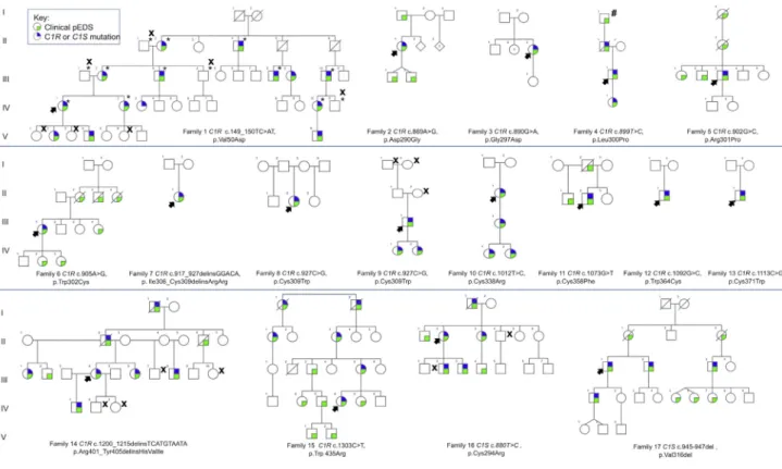 Figure 1. The Pedigrees for 17 Families with C1S or C1R Mutations