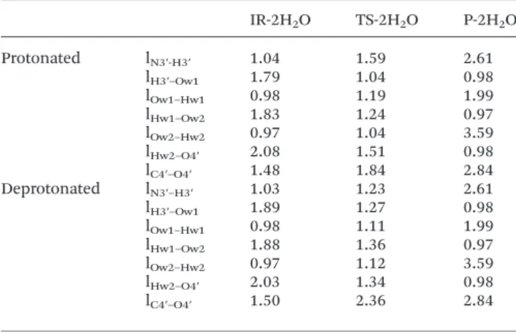 Table 5 Evolution of key interatomic distances (in Å) during the IR-2H 2 O–