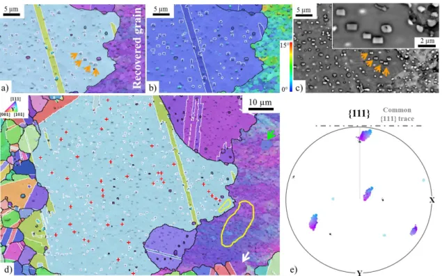 Figure 1. γ’ precipitates with a twin orientation relationship to the matrix observed after static recrystallization