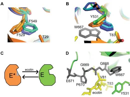 Figure S1 Example of the quality of the map in the area discussed in the text. MASP-3 residues are in green, ecotin in red.
